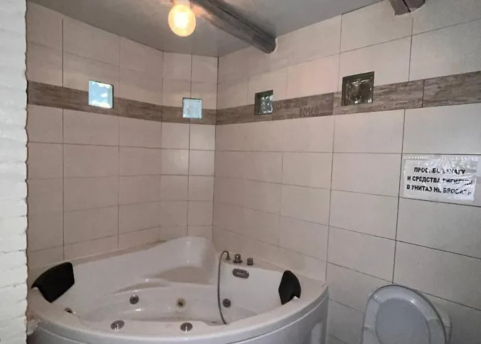 саквояж Odesa