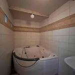 саквояж *